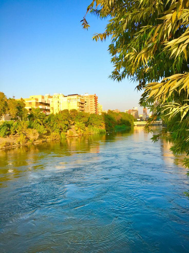 zagazig in spring